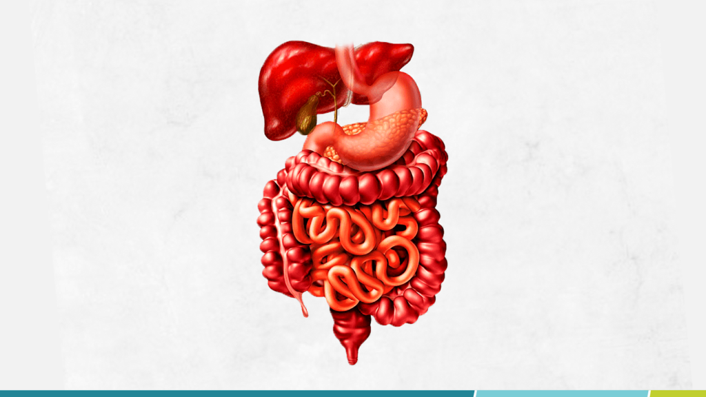 Entenda quais são as causas e tratamentos da obstrução intestinal Dr